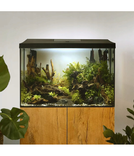Aquael akwarium LEDDY XL Day&Night 60