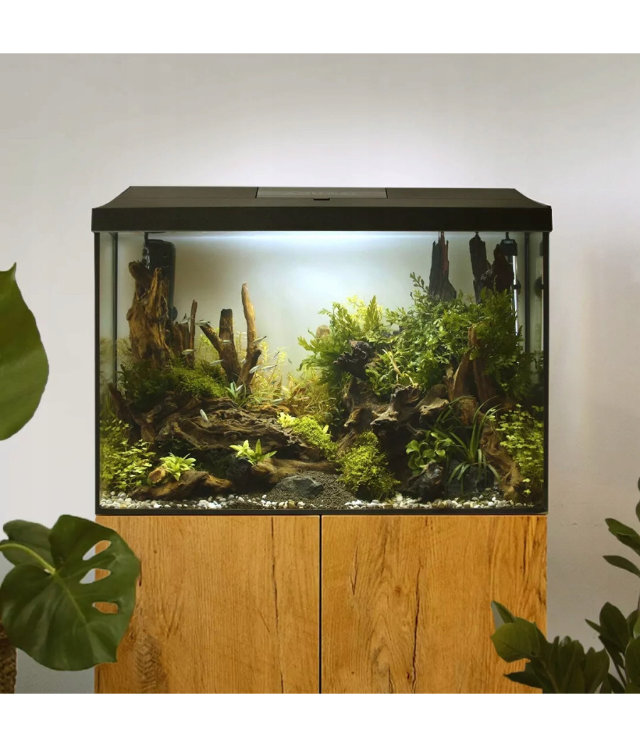 Aquael akwarium LEDDY XL Day&Night 60