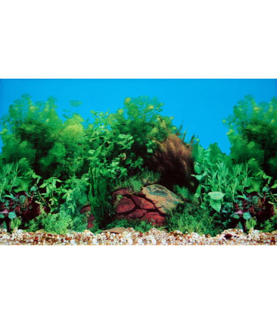 Zestaw akwariowy Aquael Leddy 60 Day&Night 60 x 30 x 30 cm czarny