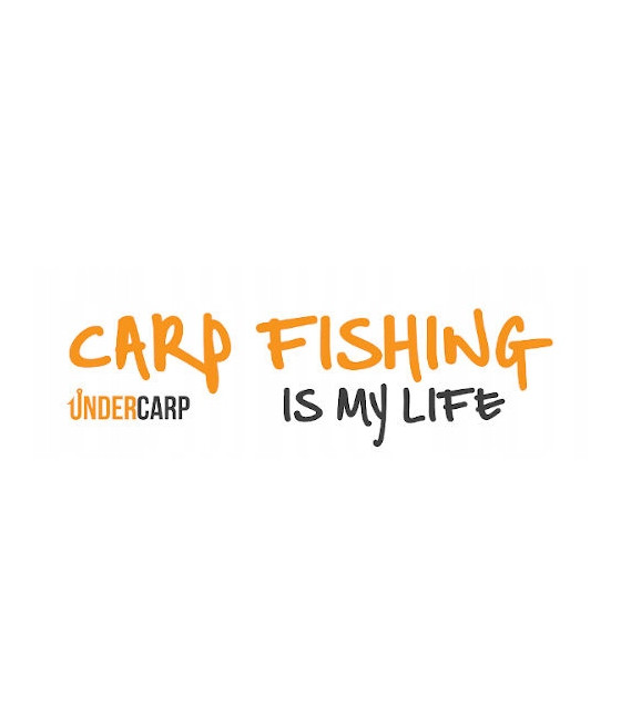 Undercarp System do back leadów