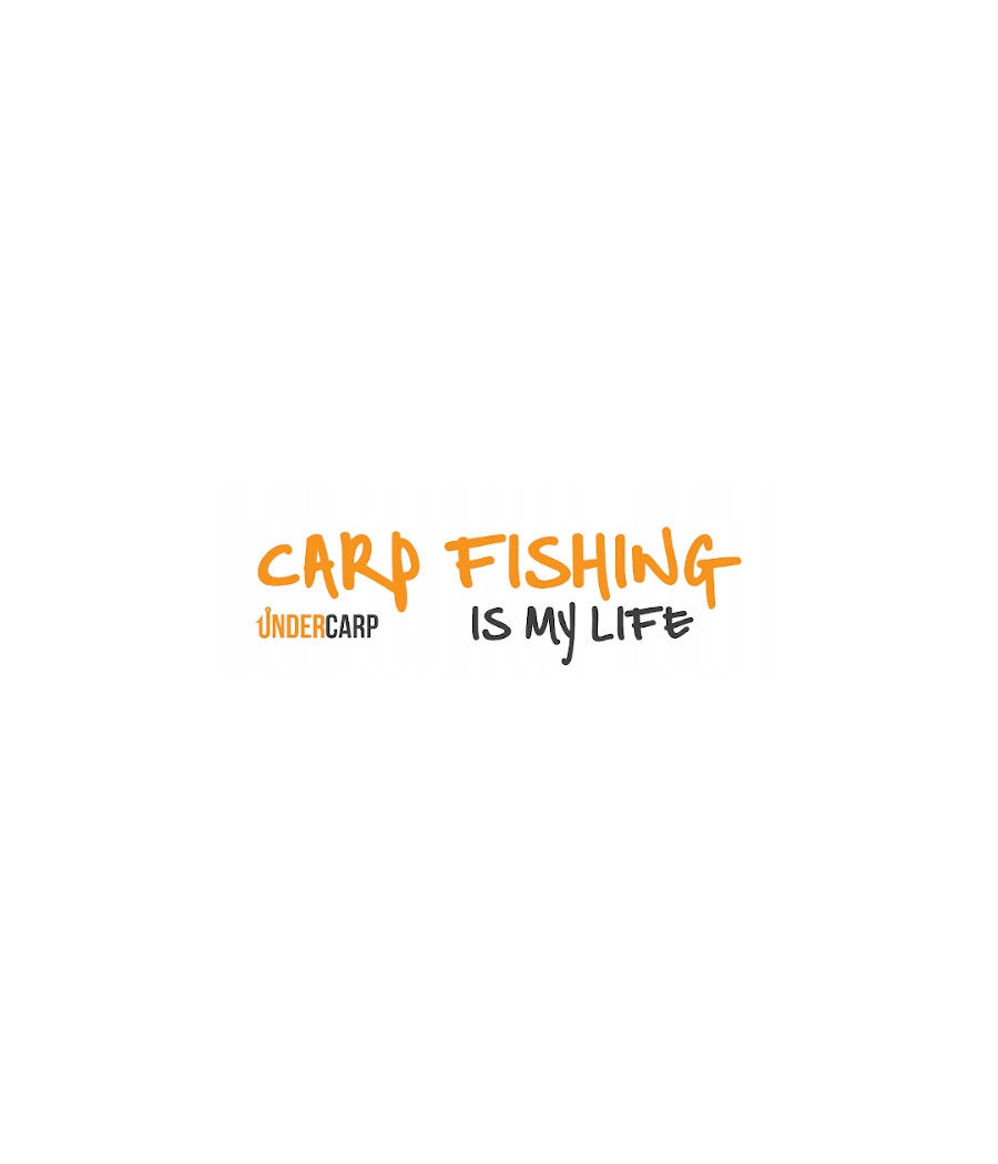 Undercarp System do back leadów